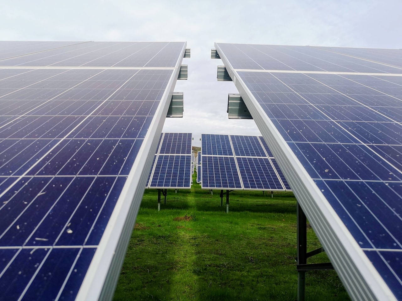 File di pannelli fotovoltaici in un campo